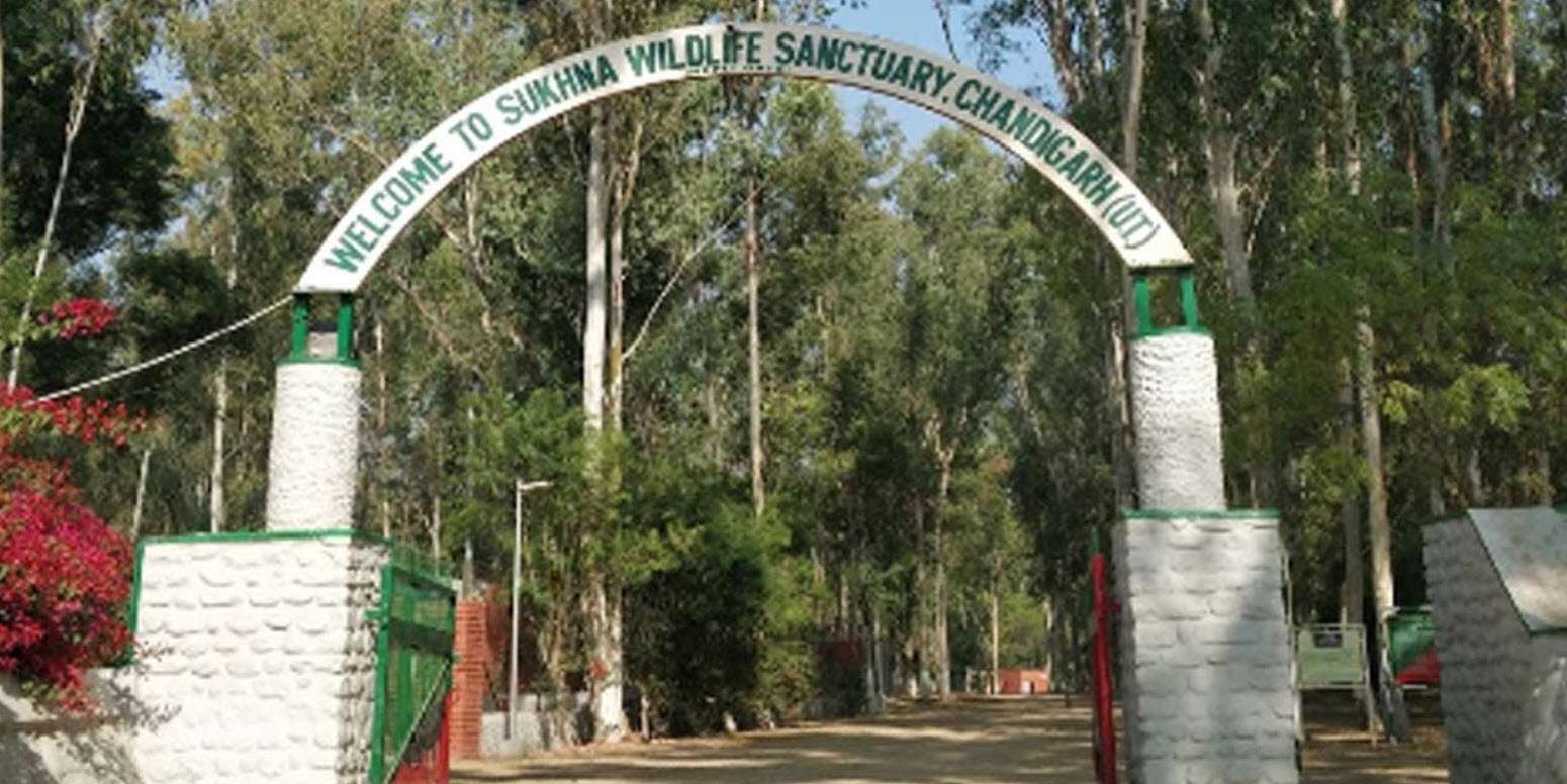 Sukhna Wildlife Sanctuary, Chandigarh, Chandigarh - Vushii.com